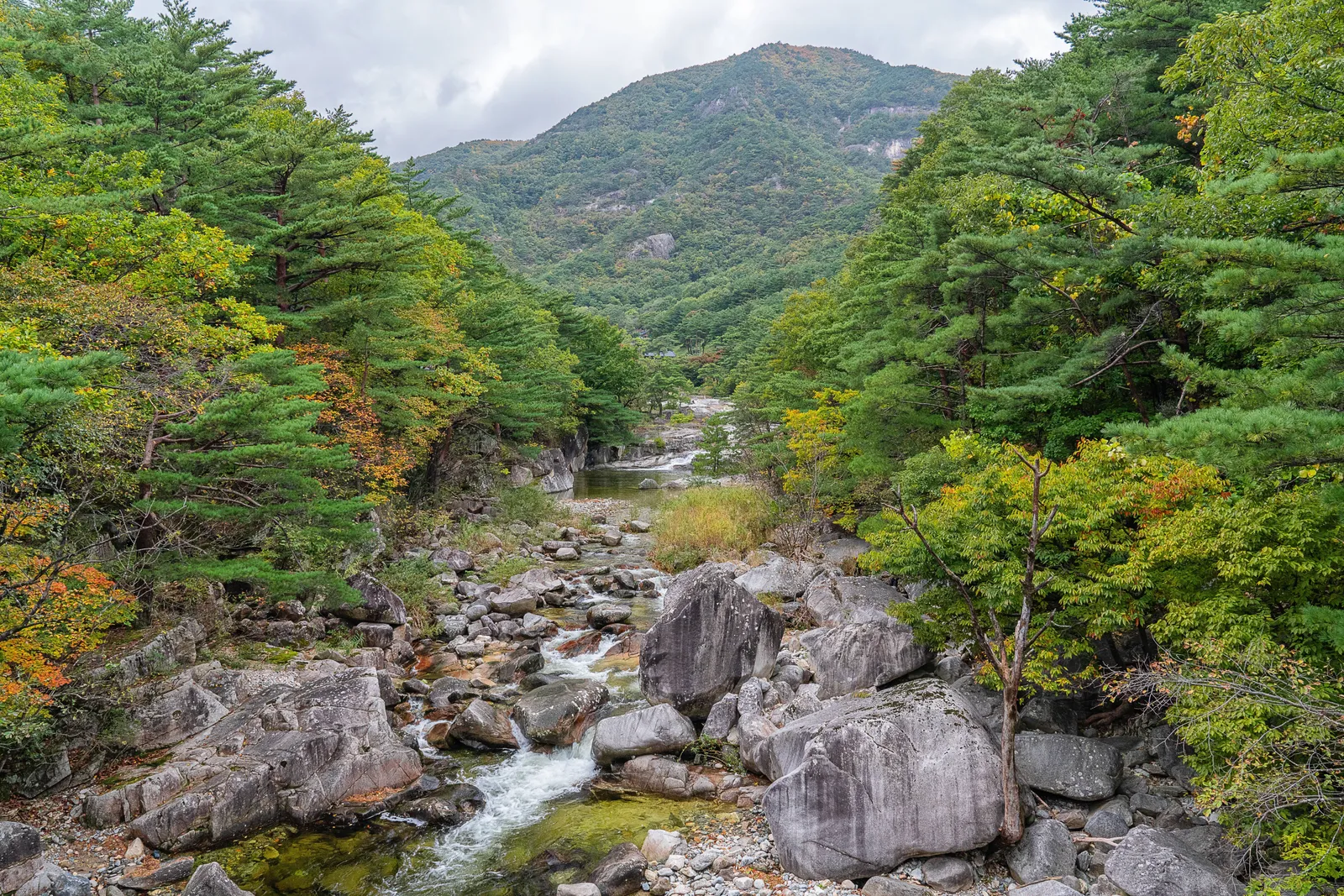 무릉계곡·삼화사 2