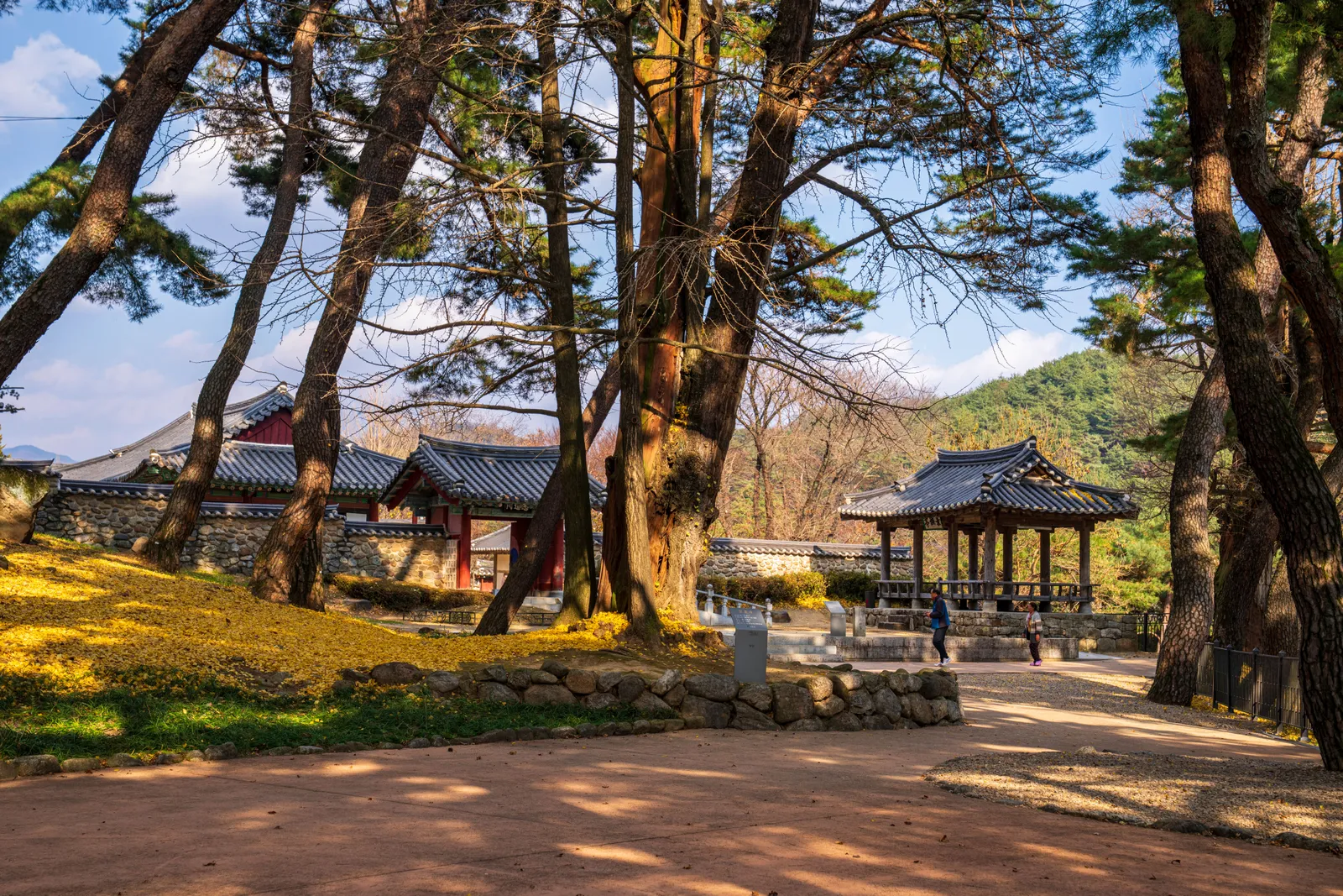 영주 소수서원·선비촌 3