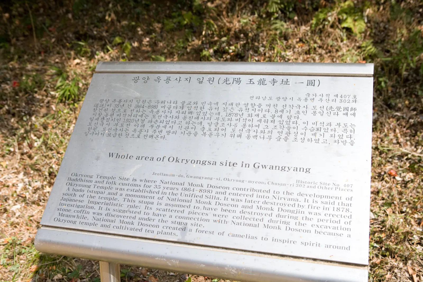 옥룡사지·동백나무숲 3