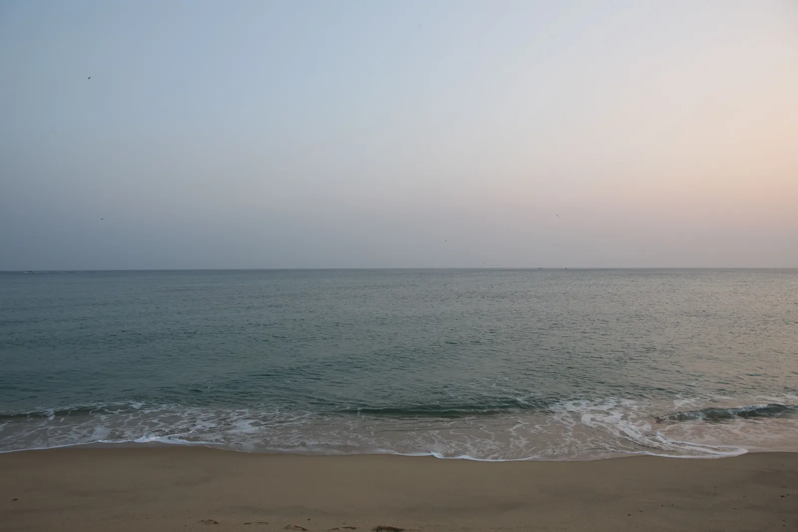 안목해변·강릉커피거리 2