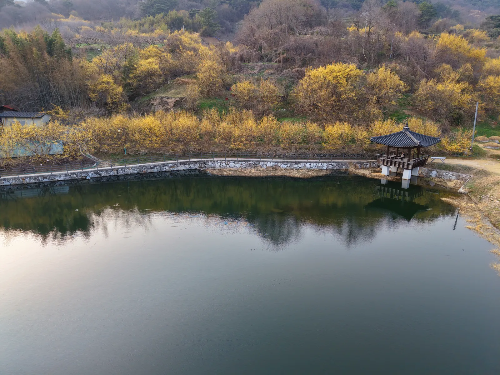 구례 산수유마을·산수유문화관 2