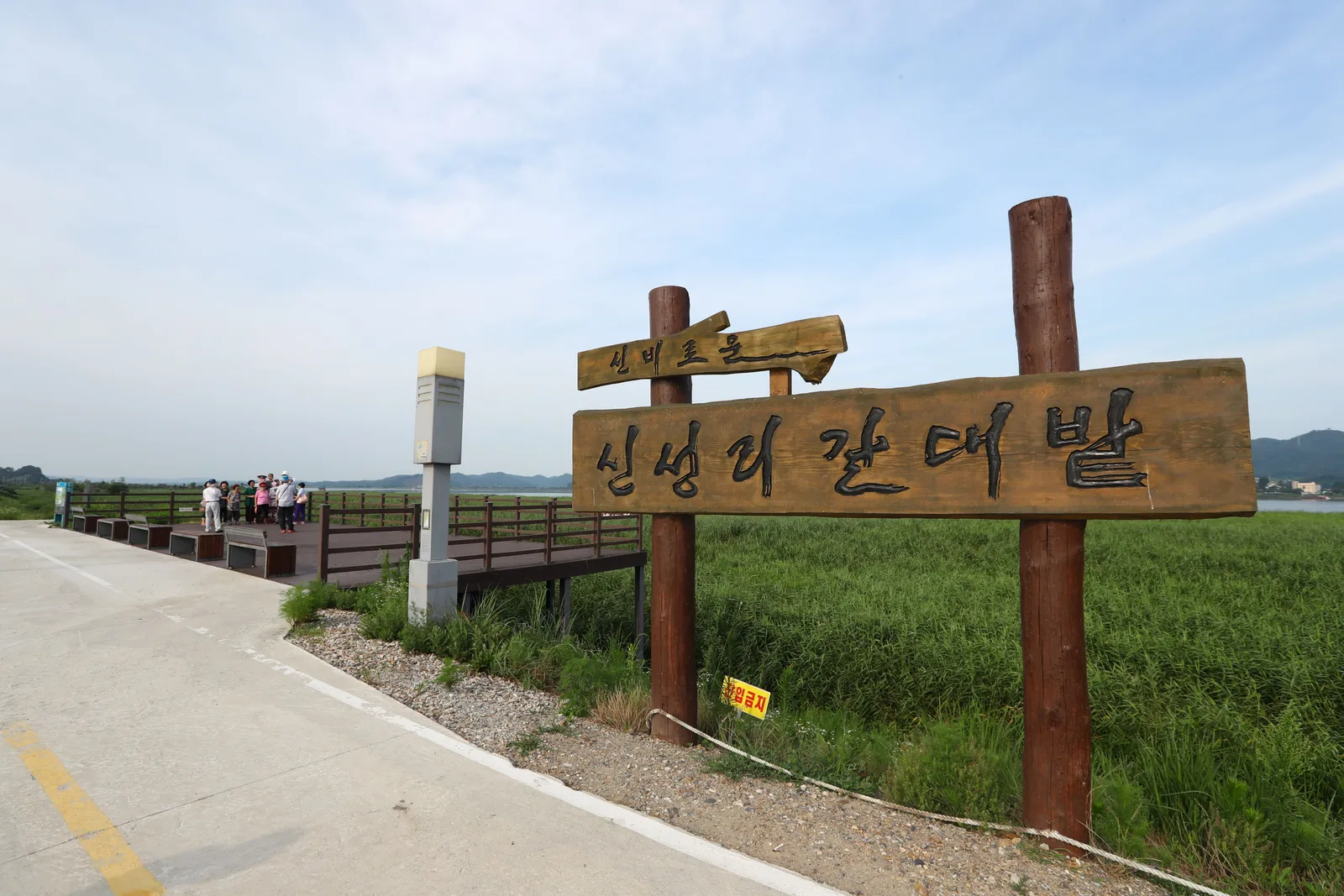 신성리갈대밭 3