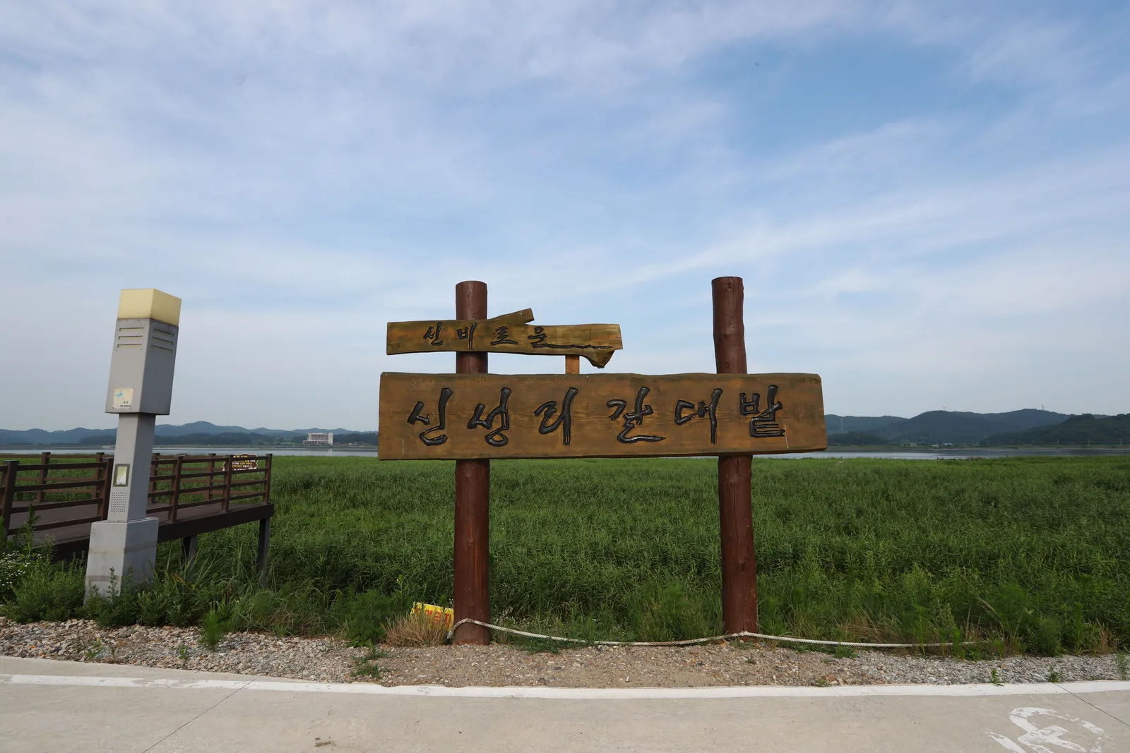 신성리갈대밭 2