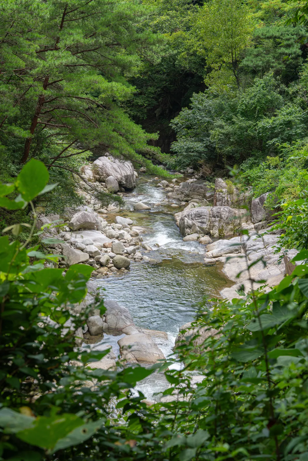 구룡계곡·육모정 3