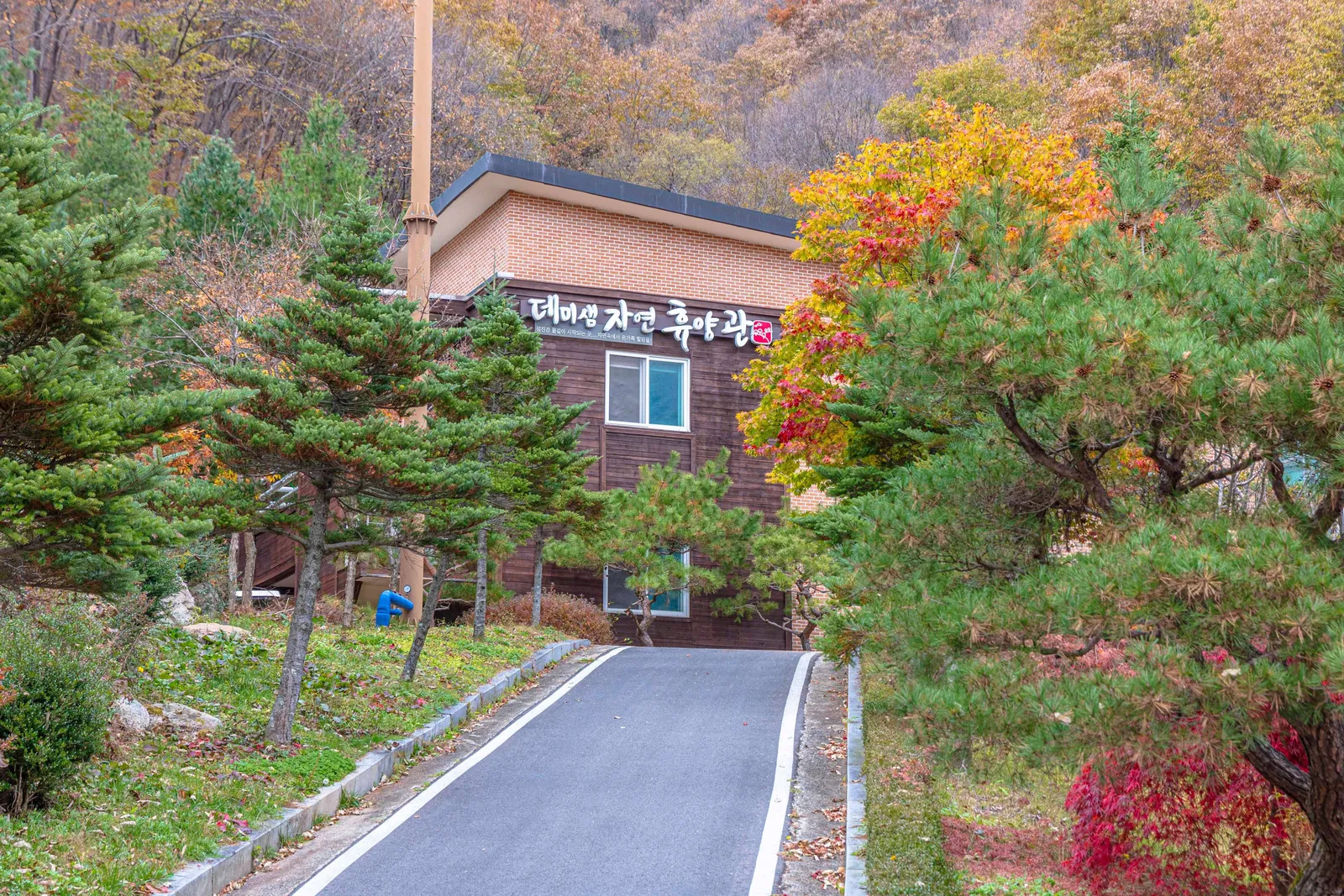 데미샘자연휴양림 3