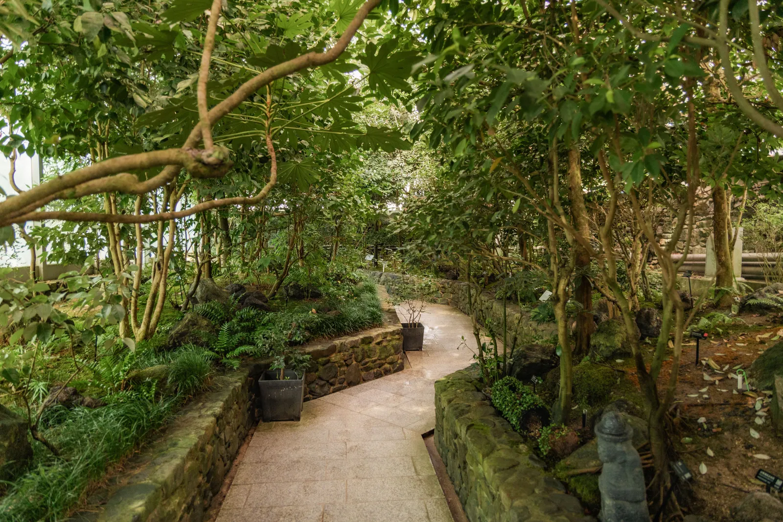 국립수목원 1