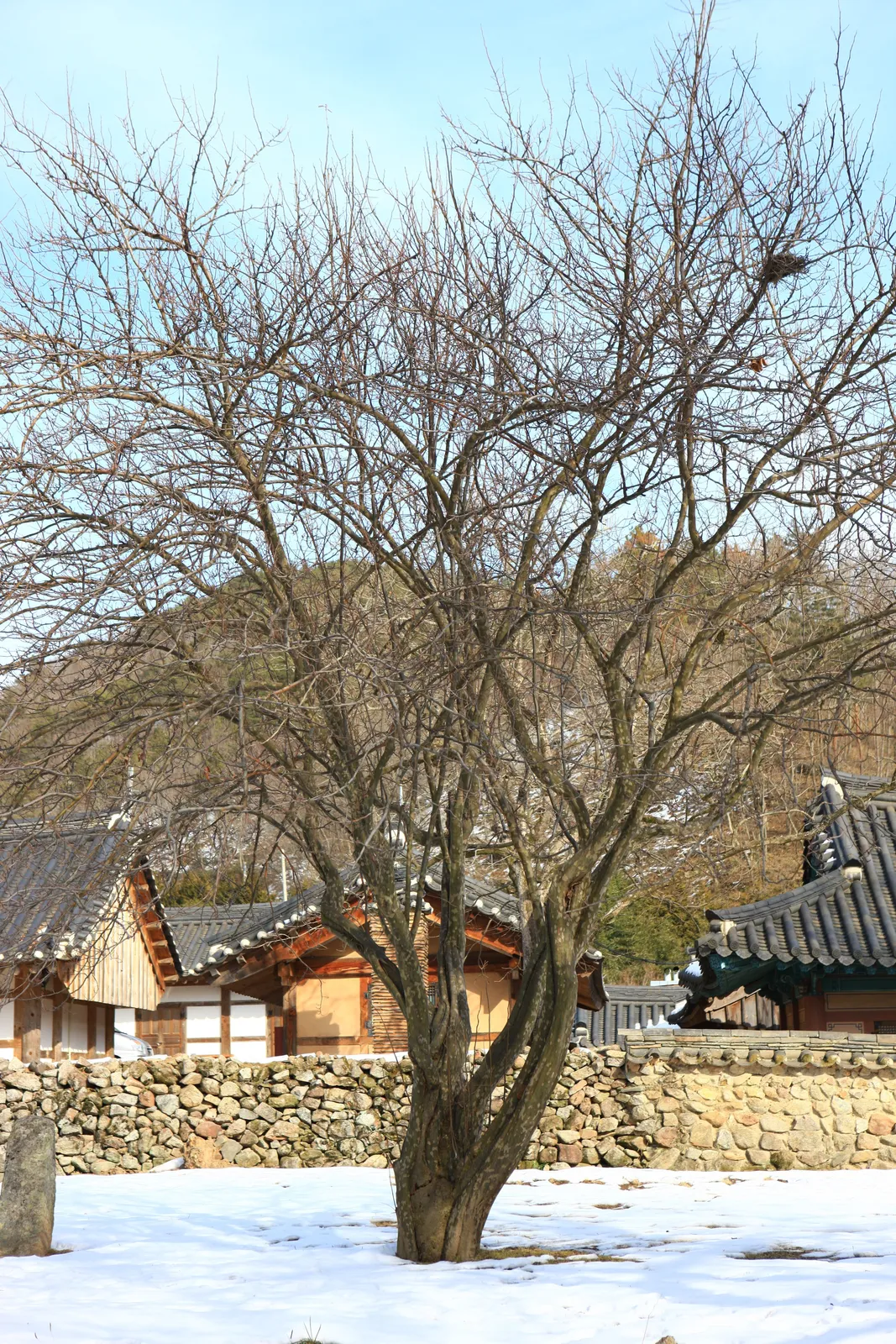 쌍봉사 3