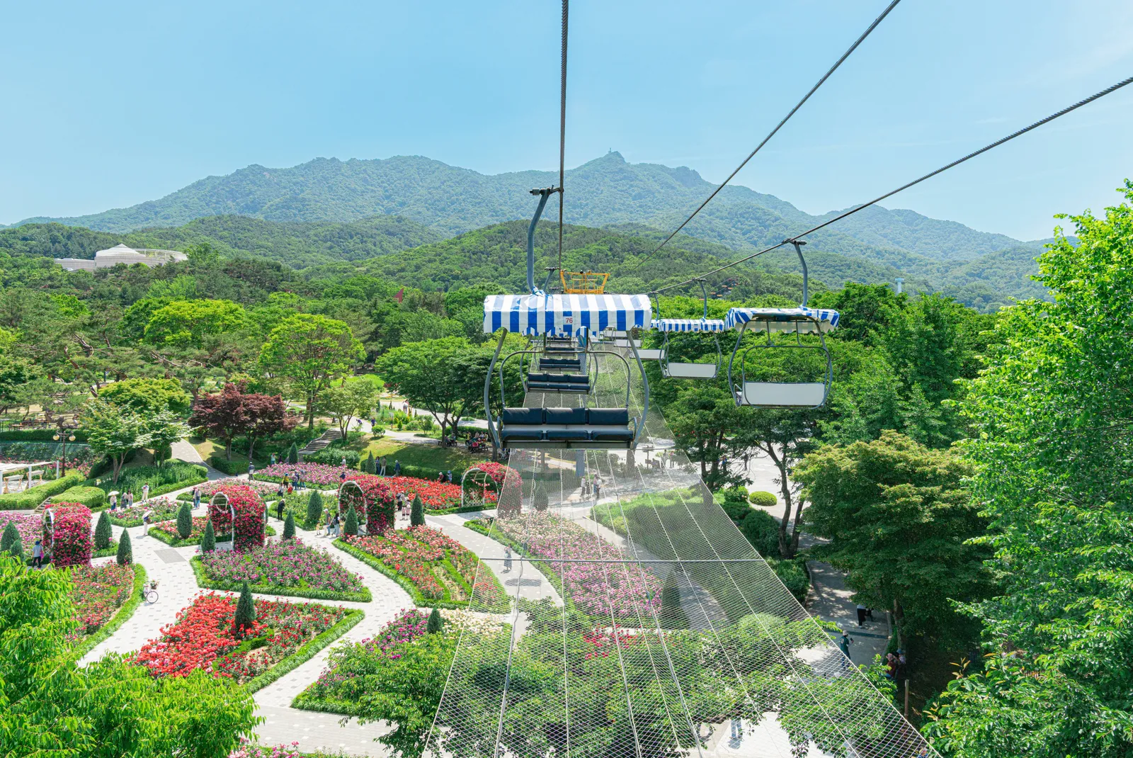 서울대공원 2