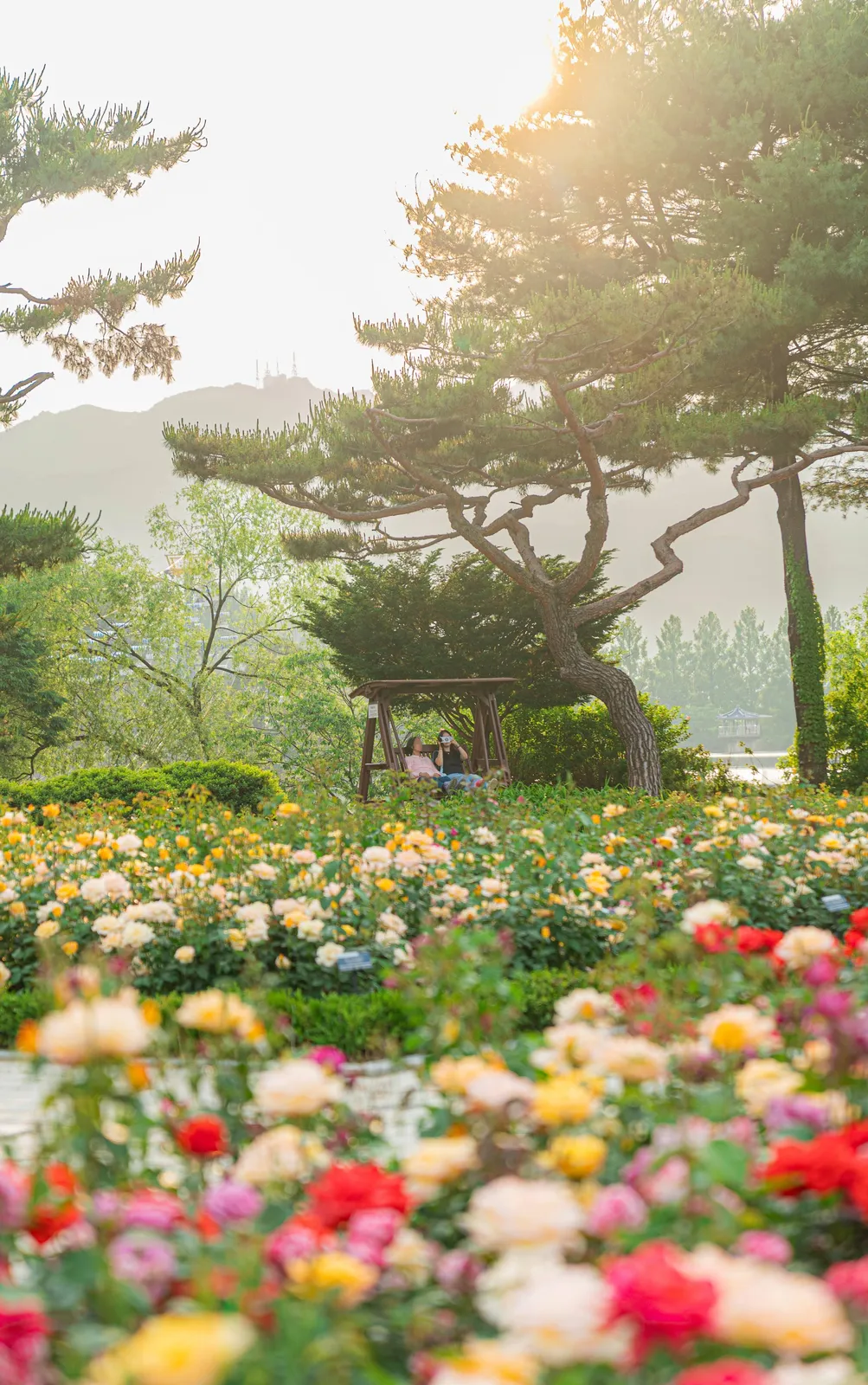서울대공원 3