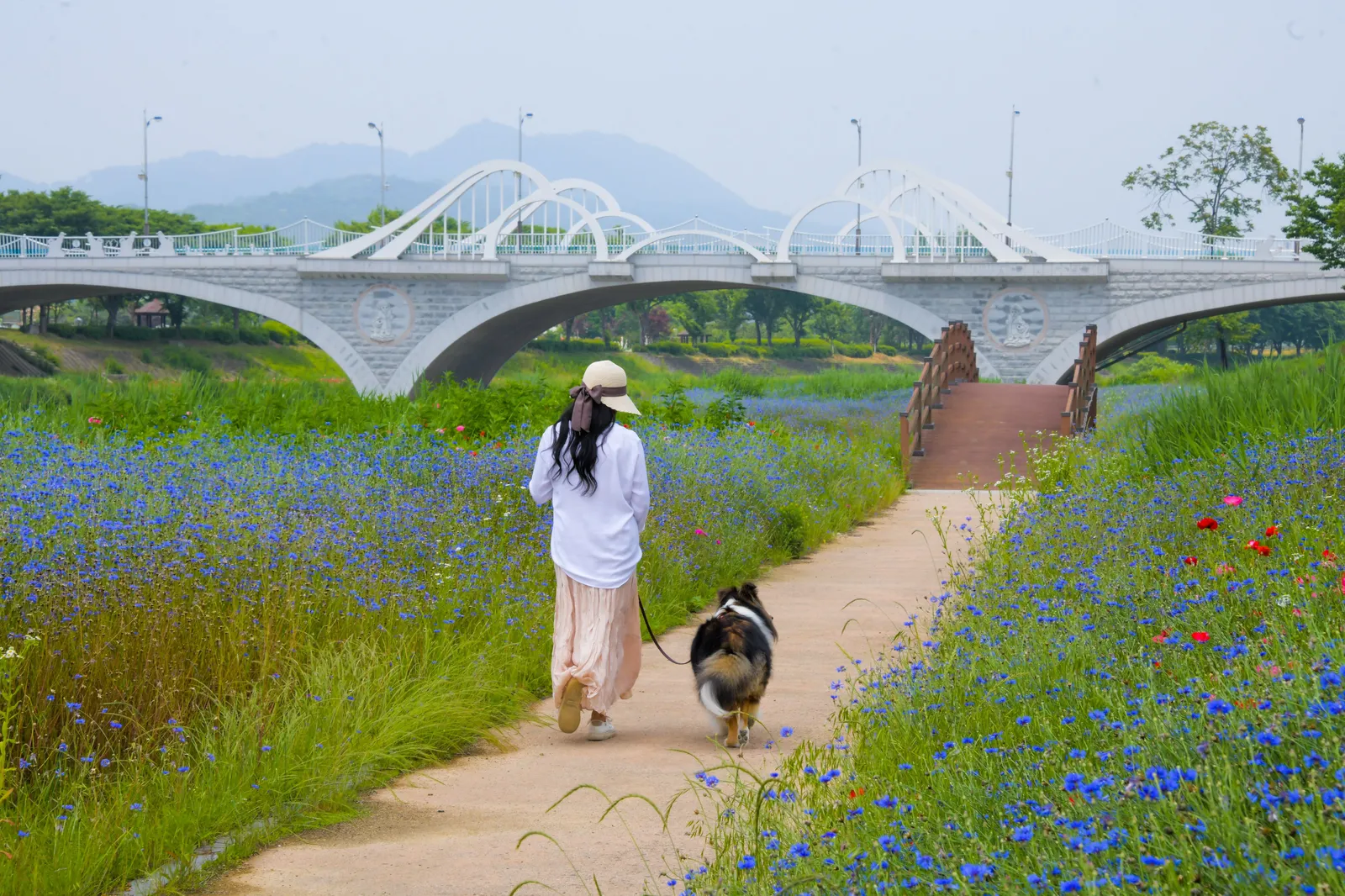 오수의견관광지 2