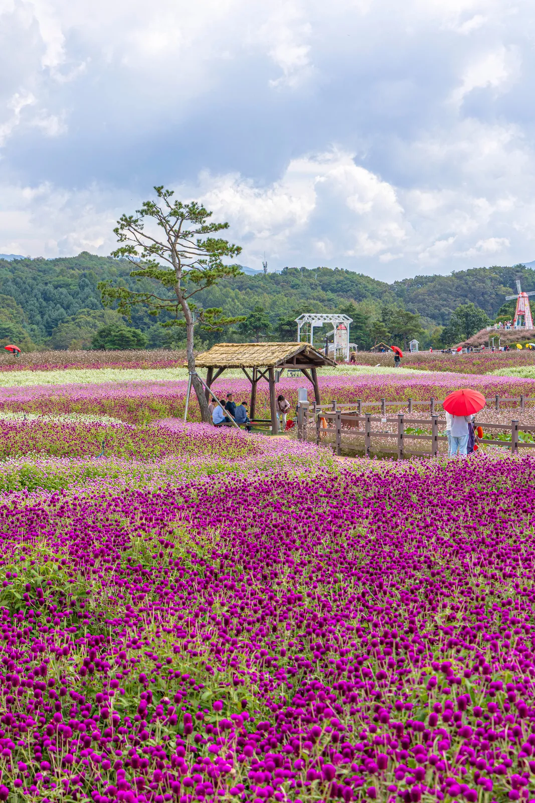 고석정 2