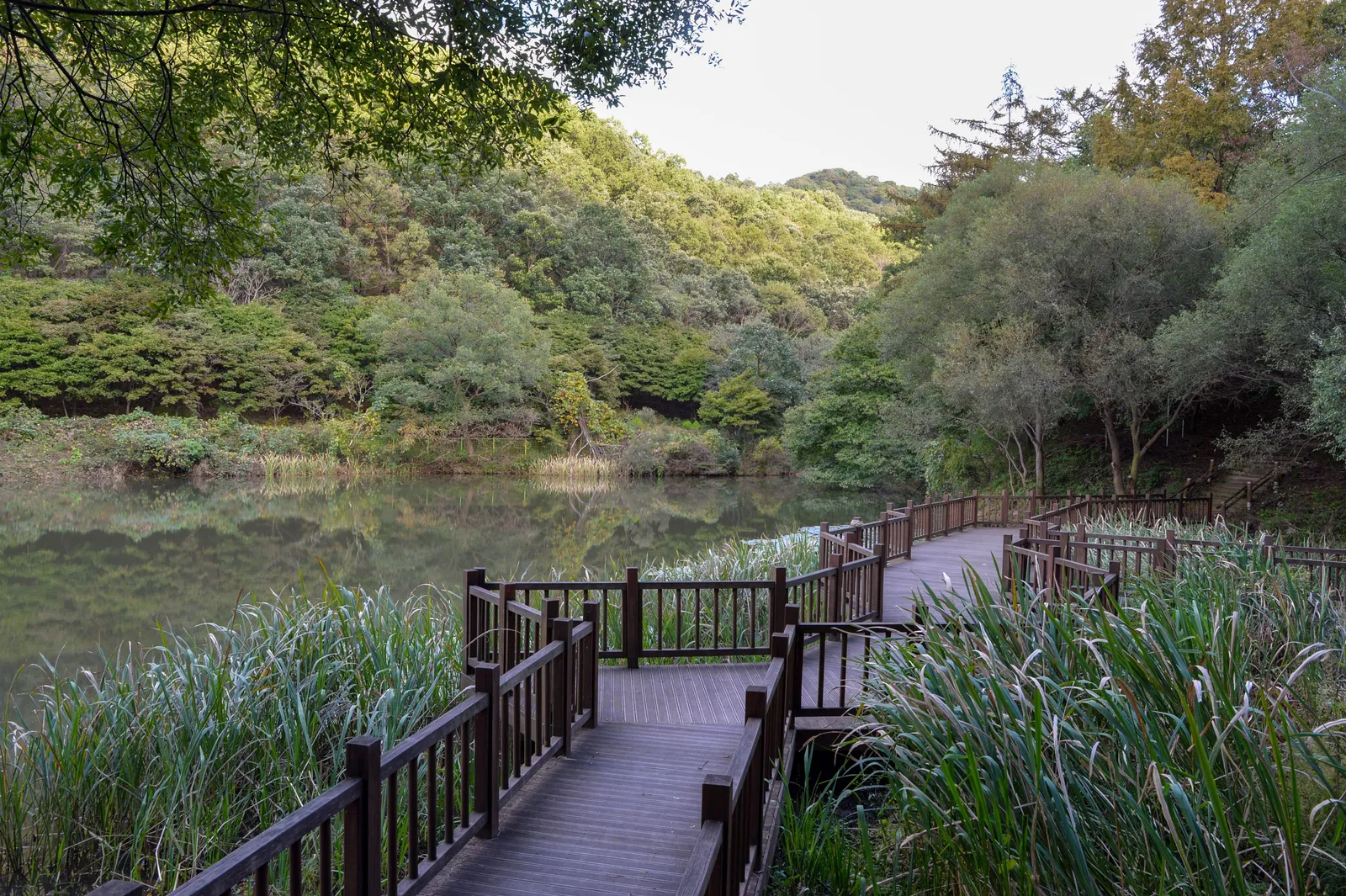 계족산·장동권 3