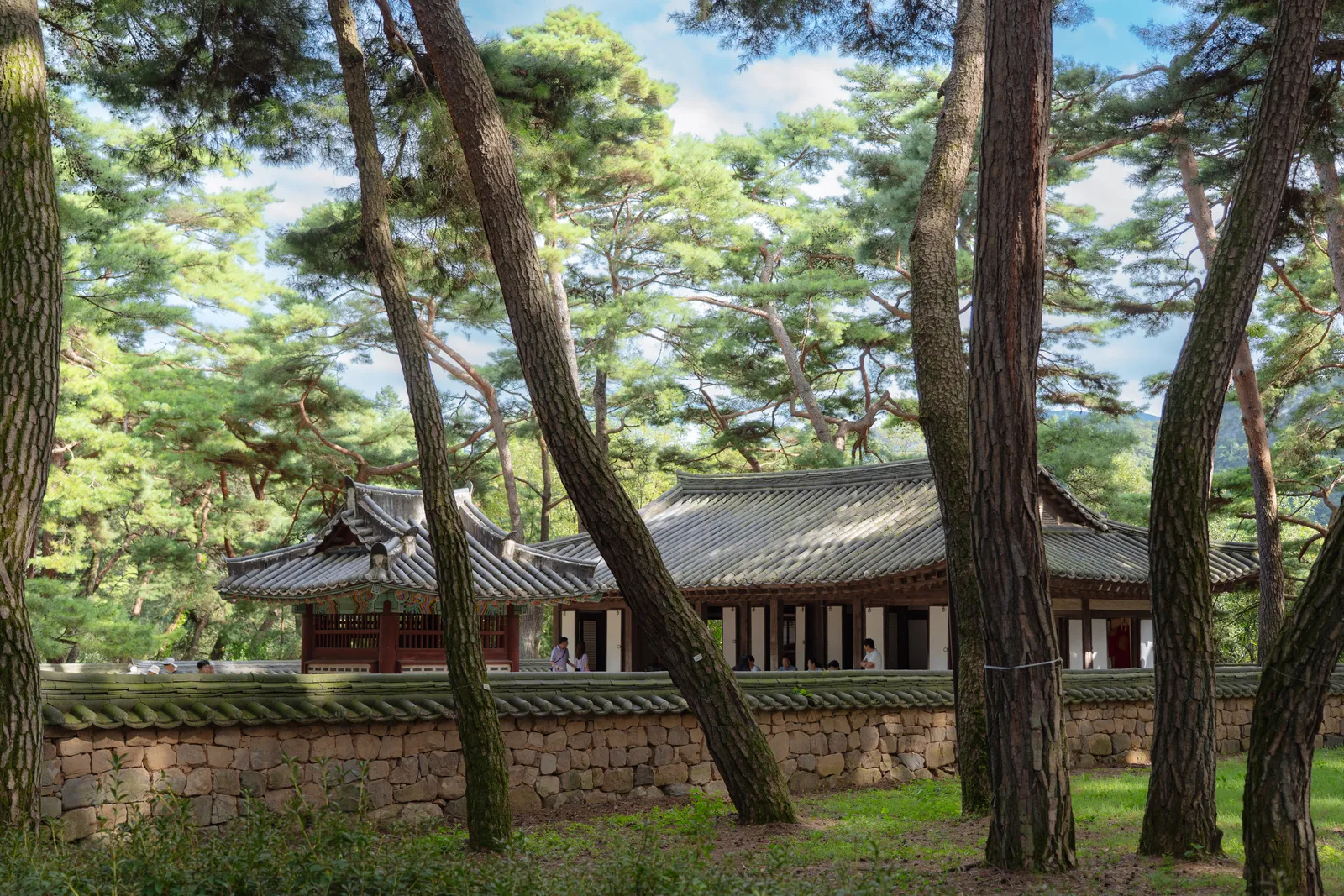 청령포 1