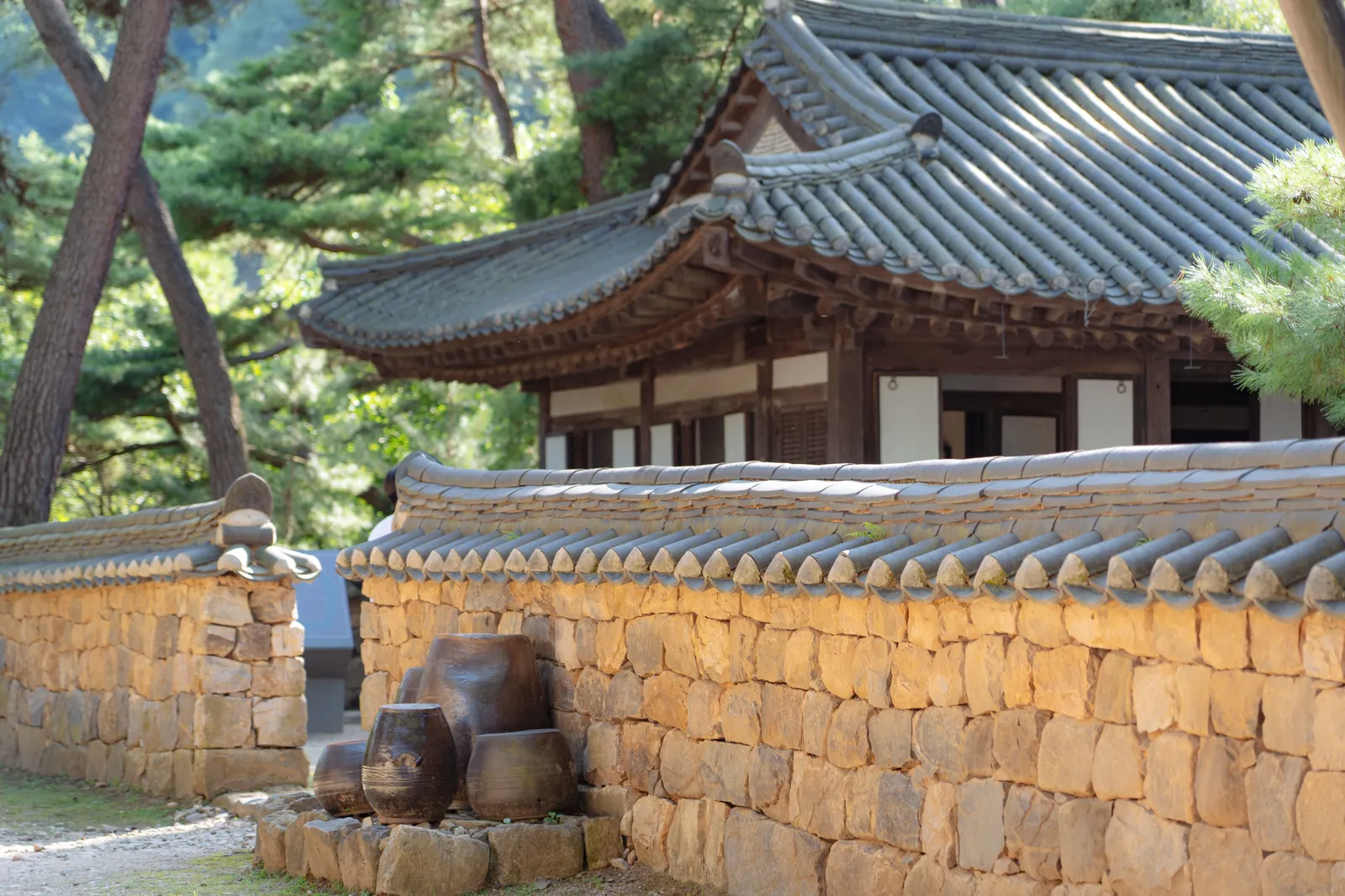 청령포 3