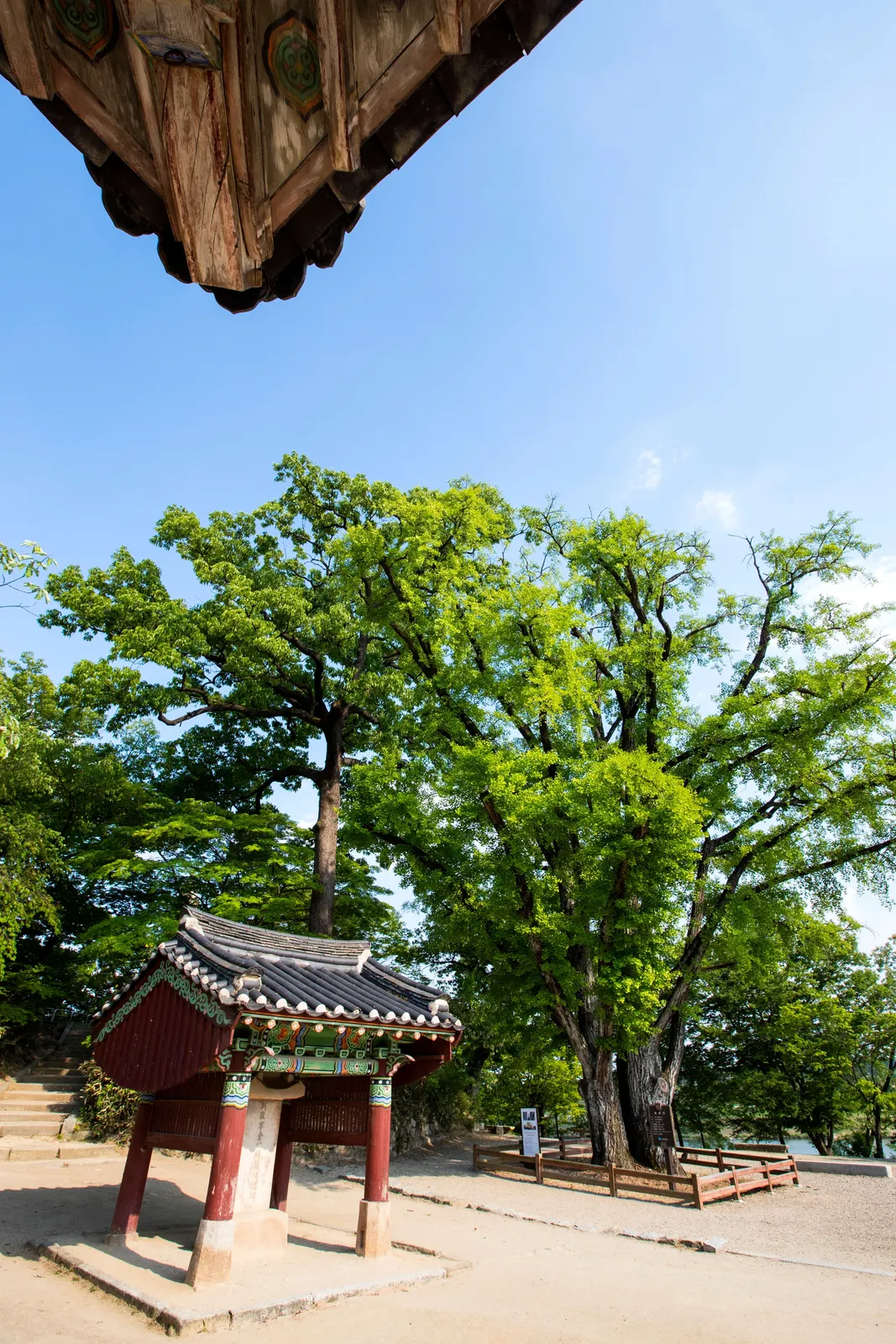 신륵사 3