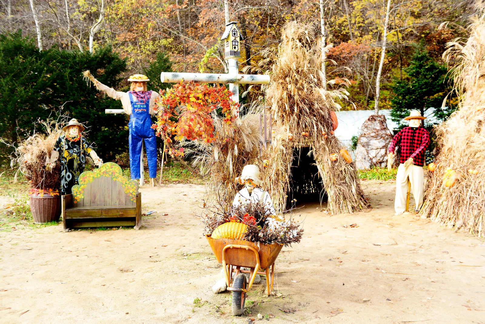 허브나라농원 1