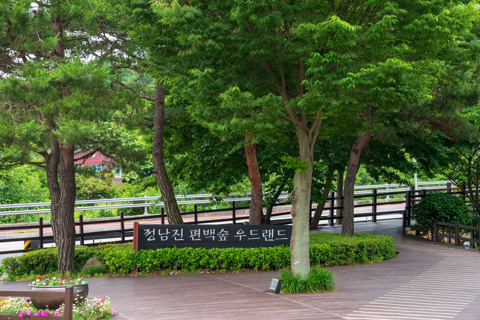 정남진 편백숲 우드랜드 2