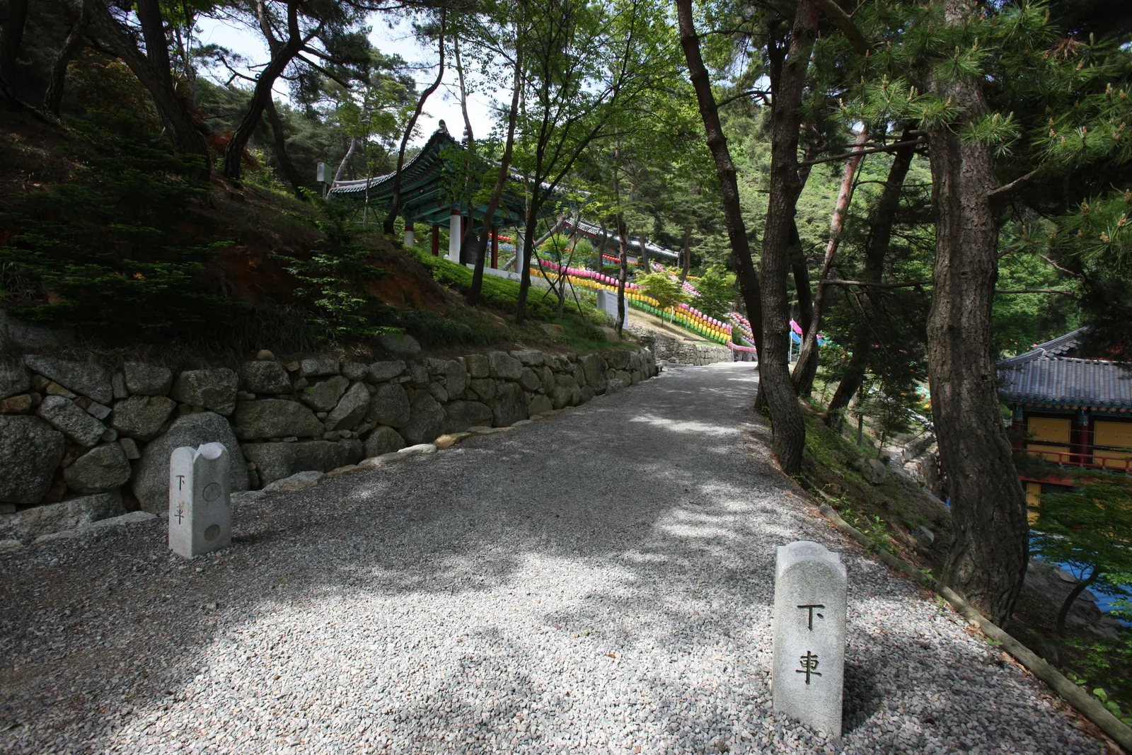 도리사 3