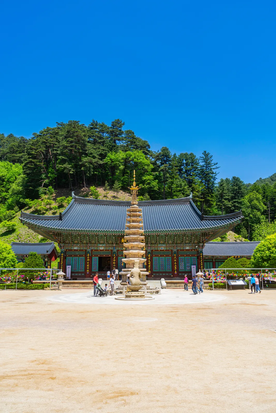 월정사·전나무숲 2