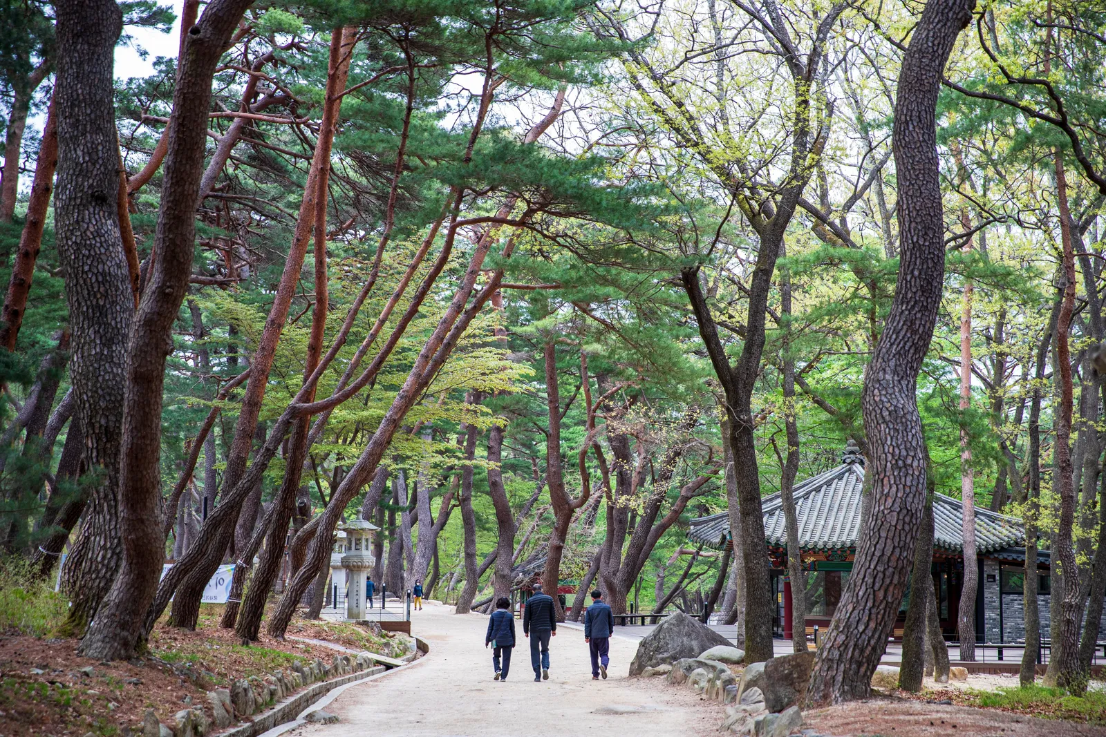 통도사-불상이 없는 대웅전과 부처의 사리를 모신 금강계단, 세계유산 산사를 걷는 여행. 1
