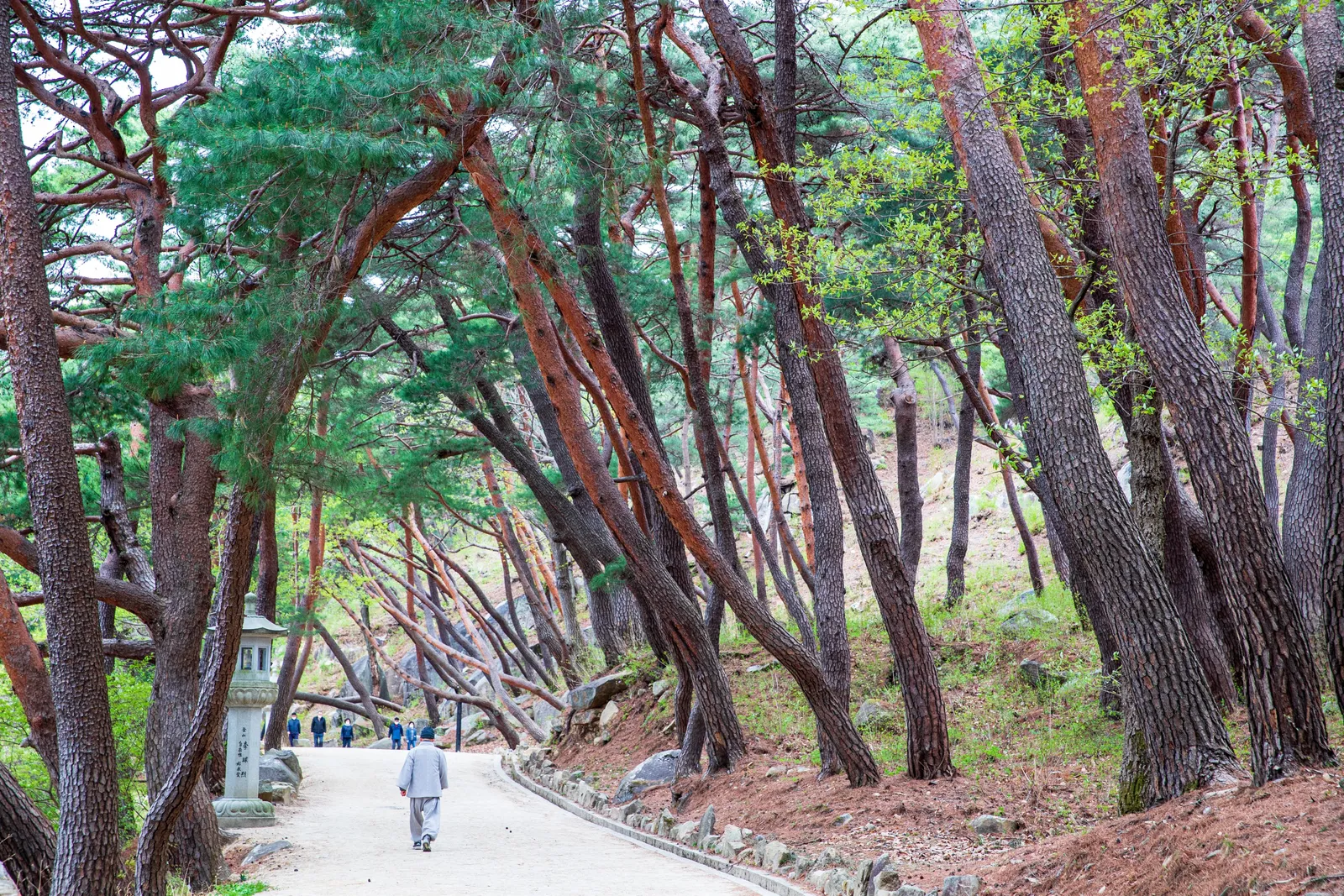 통도사-불상이 없는 대웅전과 부처의 사리를 모신 금강계단, 세계유산 산사를 걷는 여행. 2