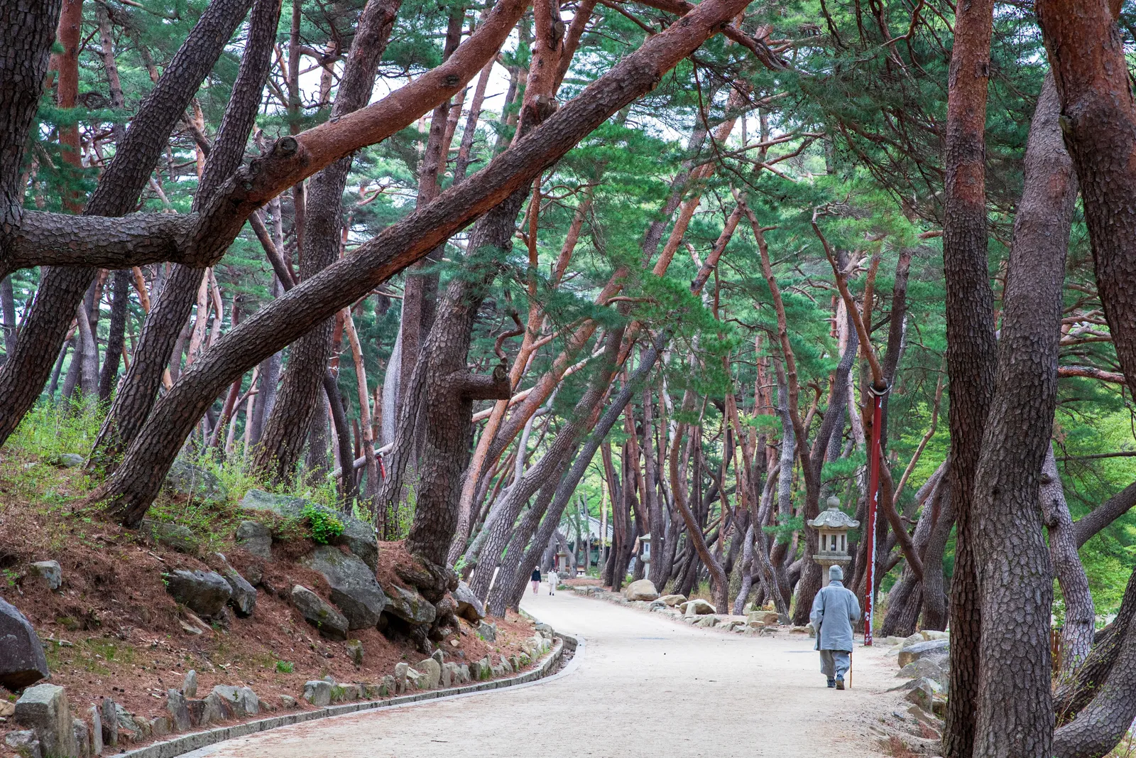 통도사-불상이 없는 대웅전과 부처의 사리를 모신 금강계단, 세계유산 산사를 걷는 여행. 3