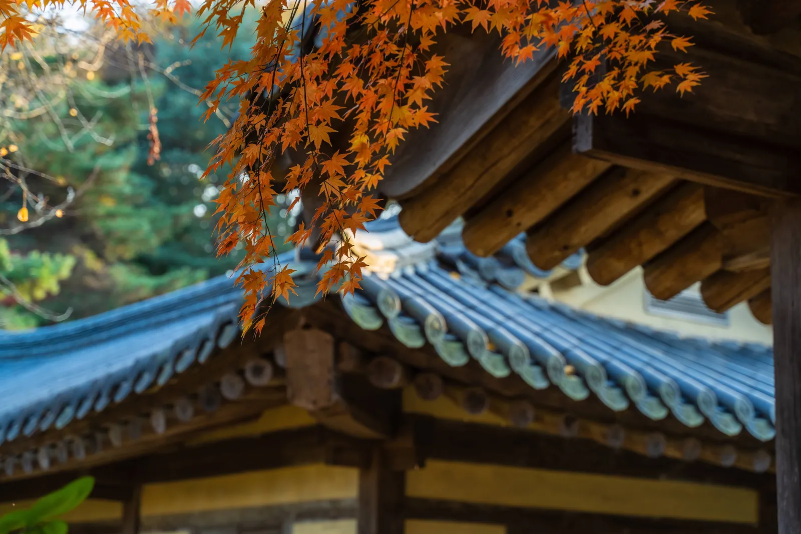 한국민속촌 2