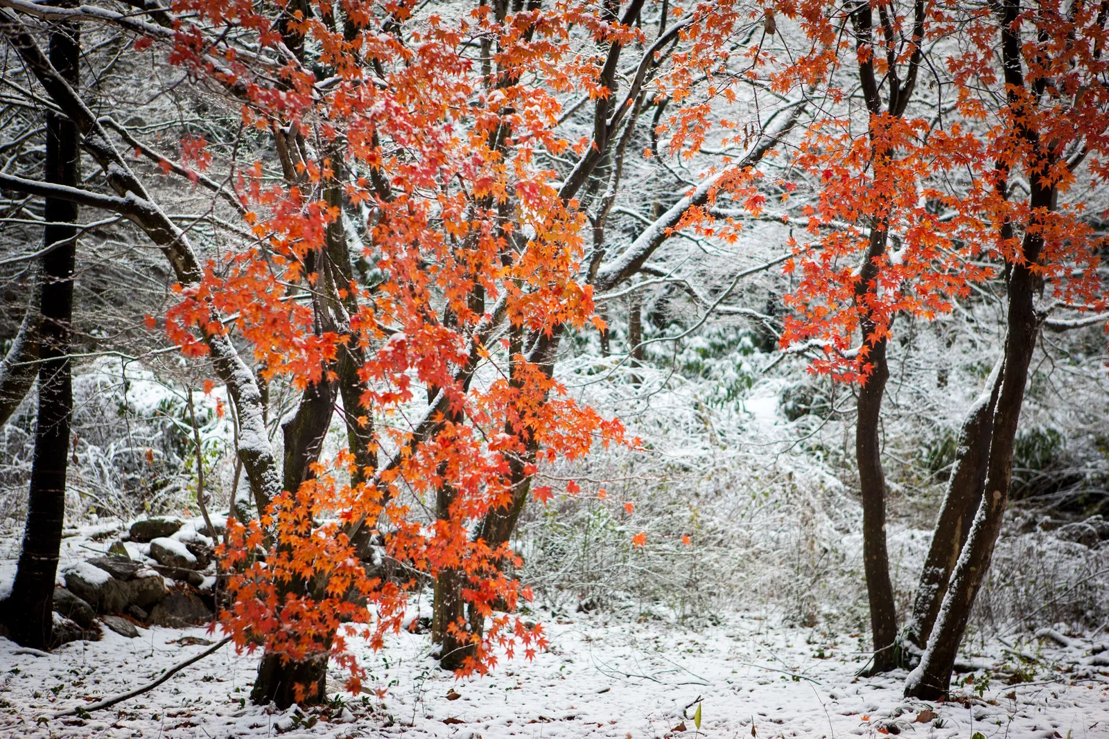 금산사 3