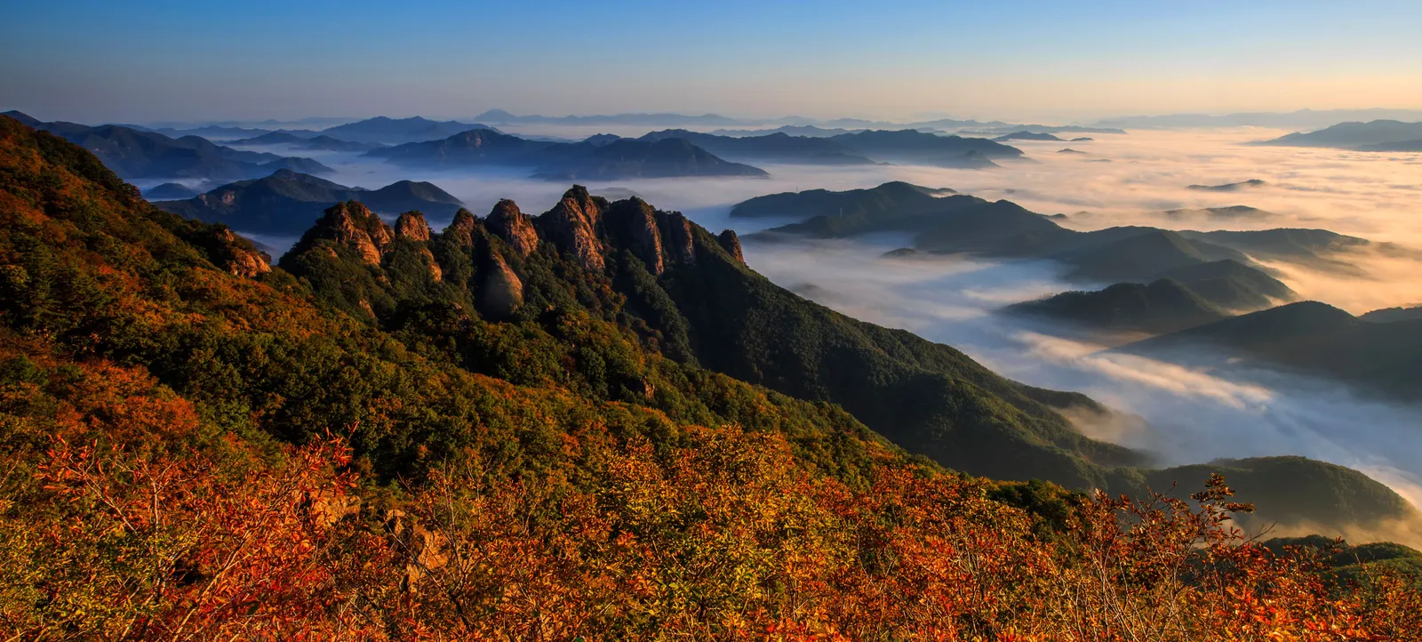 구봉산 1