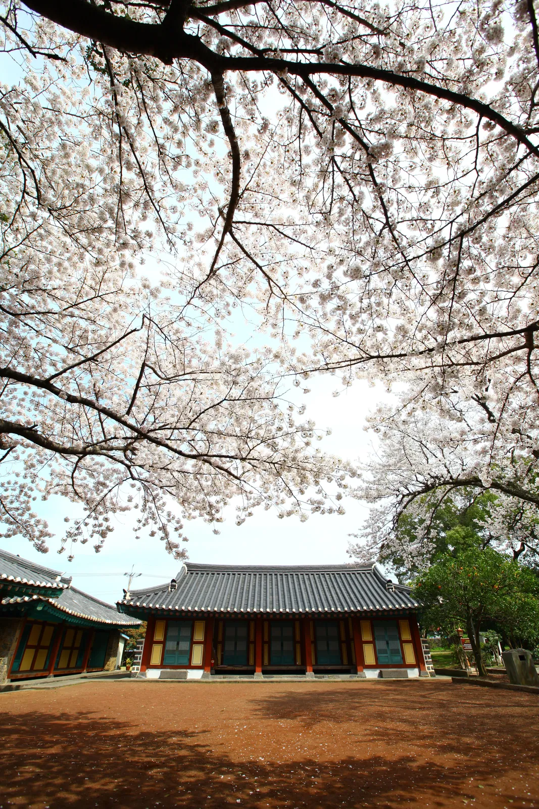 삼성혈 3
