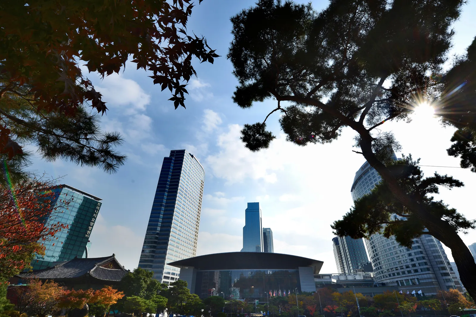 코엑스·봉은사 1