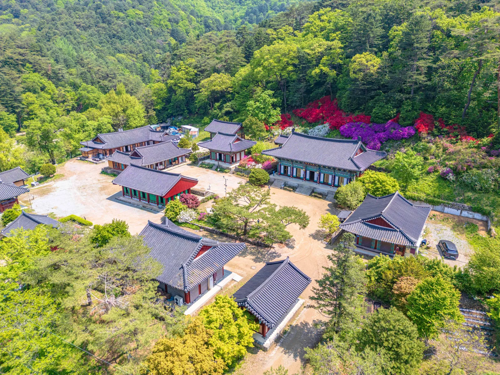 수타사·공작산 생태숲 1