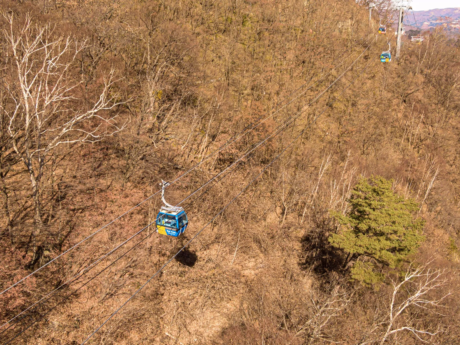 발왕산 관광케이블카 1