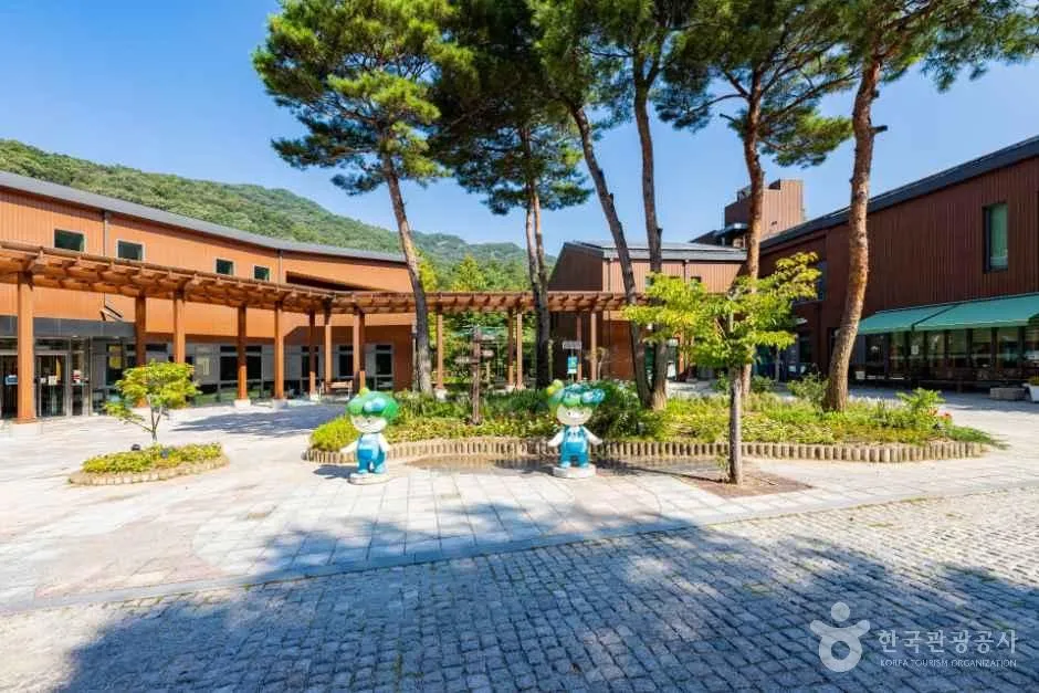 성북동 숲·국립대전숲체원 3