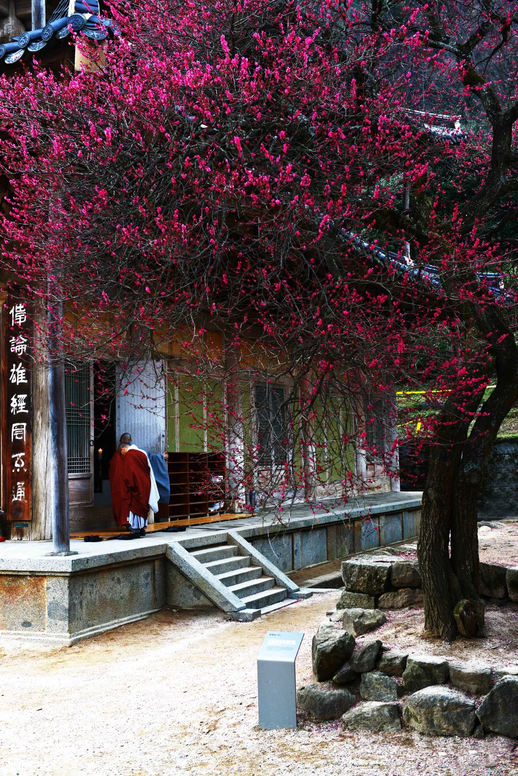 화엄사 3