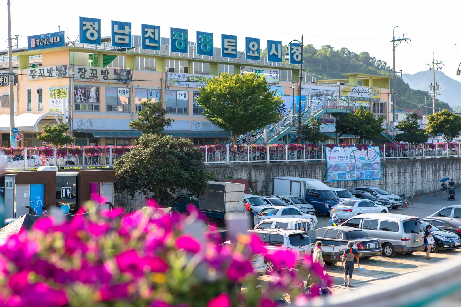 정남진 장흥토요시장 3