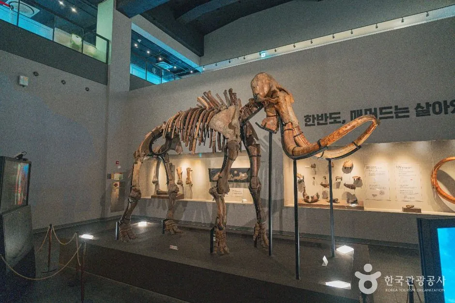 천연기념물센터 3